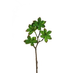 Lot de 48 - Mini branche artificielle d'echeveria, 35 cm - vert bordeaux 