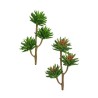 Lot de 12 - Branche artificielle d'aloe aristata, 36 cm - vert 