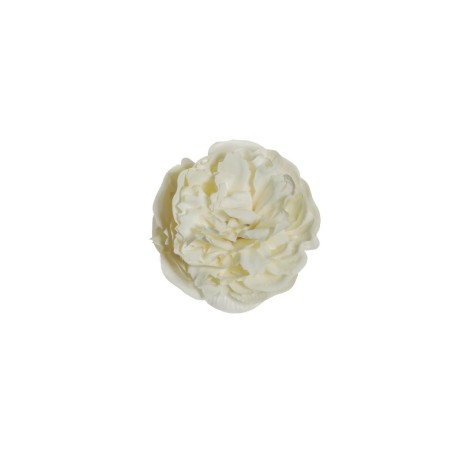 Lot de 480 - Tête artificielle de pivoine, D. 9-10 cm - crème ivoire 