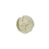 Lot de 480 - Tête artificielle de pivoine, D. 9-10 cm - crème ivoire 