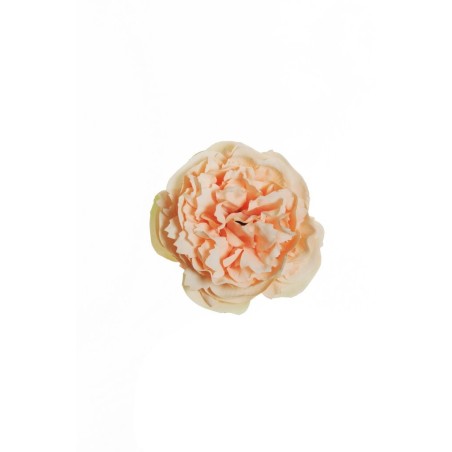 Lot de 480 - Tête artificielle de pivoine, D. 9-10 cm - saumon 