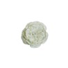 Lot de 480 - Tête artificielle de pivoine, D. 9-10 cm - blanc 