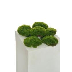 Lot de 12 - Assortiment de touffes artificielles de mousse X6, D. 12-14 cm - vert 