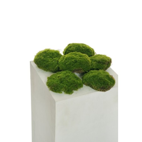 Lot de 12 - Assortiment de touffes artificielles de mousse X6, D. 12-14 cm - vert 