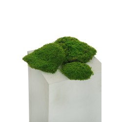 Lot de 20 - Assortiment de touffes artificielles de mousse X3, D. 15-20-25 cm - vert 