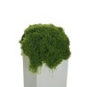 Lot de 12 - Mousse artificielle douce, 300 g - vert 