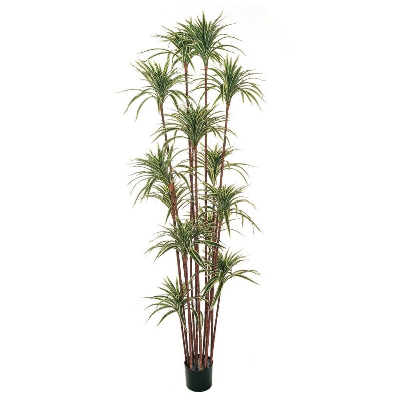 Lot de 2 - Plante artificielle de dracaena reflex toucher réel en pot, 200 cm - panaché 