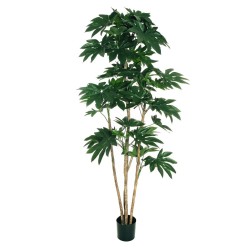 Lot de 2 - Plante artificielle d'aralia en pot, 220 cm - vert 