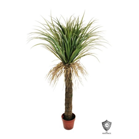 Lot de 2 - Plante artificielle de yucca glauca anti-UV en pot, 150 cm - vert clair 