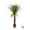 Lot de 2 - Plante artificielle de yucca glauca anti-UV en pot, 150 cm - vert clair 