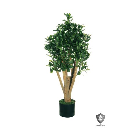 Lot de 2 - Plante artificielle de crassula ovata anti-UV en pot, 105 cm - vert 