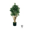 Lot de 2 - Plante artificielle de crassula ovata anti-UV en pot, 105 cm - vert 