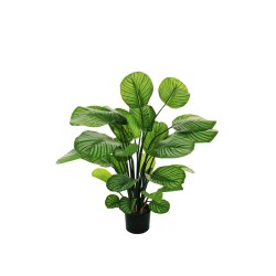 Lot de 2 - Plante artificielle de calathea toucher réel en pot, 90 cm - vert crème 