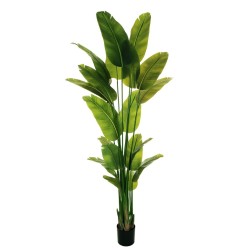 Lot de 2 - Plante artificielle d'oiseau de paradis aspect naturel en pot, 230 cm - vert 