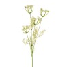 Lot de 48 - Tige artificielle d'aneth X4, 83 cm - blanc 
