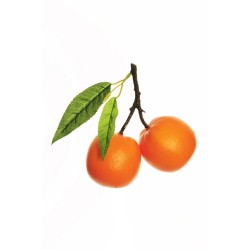 Lot de 12 - Orange artificielle toucher réel X2, 15 cm - orange 