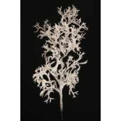 Lot de 12 - Branche artificielle de manzanita enneigée, 83 cm - blanc marron 