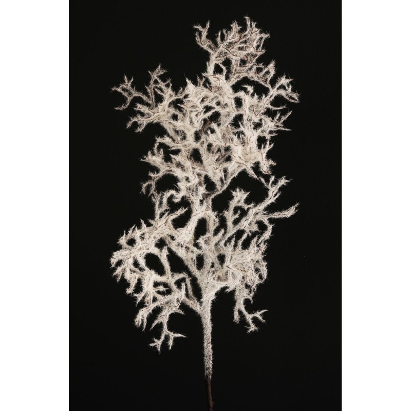 Lot de 12 - Branche artificielle de manzanita enneigée, 83 cm - blanc marron 