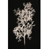 Lot de 12 - Branche artificielle de manzanita enneigée, 83 cm - blanc marron 