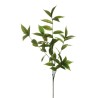 Lot de 36 - Tige artificielle de laurier toucher réel X6, 90 cm - vert 