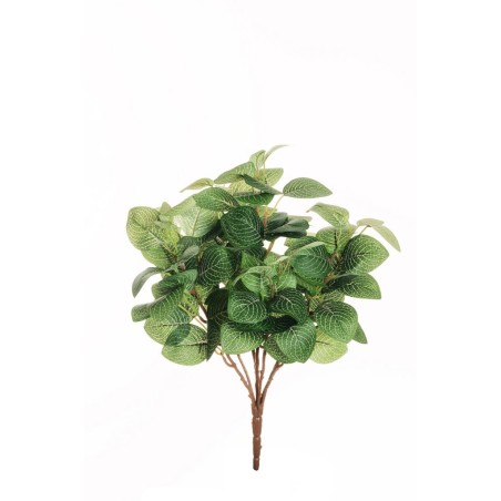 Lot de 24 - Buisson artificiel de fittonia X7, 37 cm - vert crème 