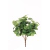 Lot de 24 - Buisson artificiel de fittonia X7, 37 cm - vert crème 