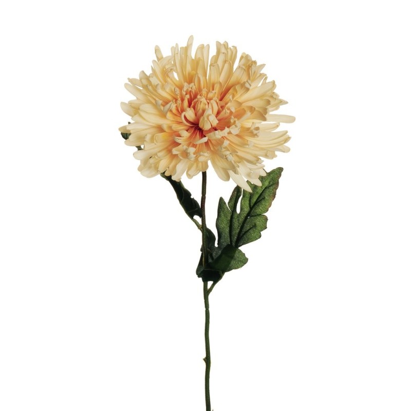 Lot de 36 - Chrysanthème artificiel aspect sec, 70 cm - crème écru 