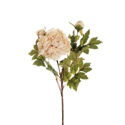 Lot de 24 - Tige artificielle de pivoine X2, 64 cm - crème 