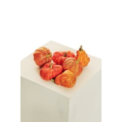 Lot de 24 - Assortiment de citrouilles artificielles X6, D. 7-10 cm - orange 