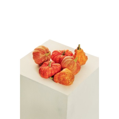 Lot de 24 - Assortiment de citrouilles artificielles X6, D. 7-10 cm - orange 