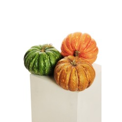 Lot de 6 - Citrouille artificielle aspect naturel, D. 21 cm, H. 16 cm - orange clair 