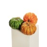 Lot de 6 - Citrouille artificielle aspect naturel, D. 21 cm, H. 16 cm - orange clair 