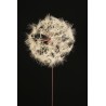 Lot de 12 - Pissenlit artificiel géant D. 20 cm, 87 cm - blanc 