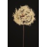 Lot de 12 - Pissenlit artificiel géant D. 20 cm, 87 cm - crème 