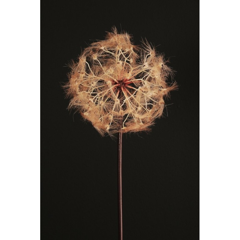Lot de 12 - Pissenlit artificiel géant D. 20 cm, 87 cm - marron clair 