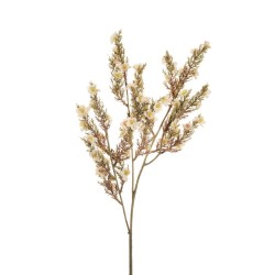 Lot de 12 - Tige artificielle d'erica arborea X3, 70 cm - ivoire 