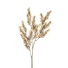 Lot de 12 - Tige artificielle d'erica arborea X3, 70 cm - ivoire 