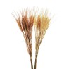 Lot de 24 - Bouquet artificiel de blé aspect sec X6, 57 cm - ivoire orange 