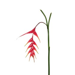 Lot de 12 - Petite branche suspendue artificielle de heliconia toucher réel, 120 cm - rouge orange 