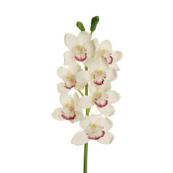 Lot de 6 - Tige artificielle d'orchidée cymbidium toucher réel X7, 77 cm - blanc 