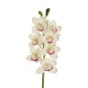 Lot de 6 - Tige artificielle d'orchidée cymbidium toucher réel X7, 77 cm - blanc 