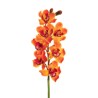 Lot de 6 - Tige artificielle d'orchidée cymbidium toucher réel X7, 77 cm - orange 