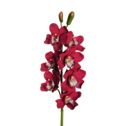 Lot de 6 - Tige artificielle d'orchidée cymbidium toucher réel X7, 77 cm - bordeaux 