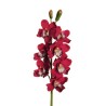 Lot de 6 - Tige artificielle d'orchidée cymbidium toucher réel X7, 77 cm - bordeaux 