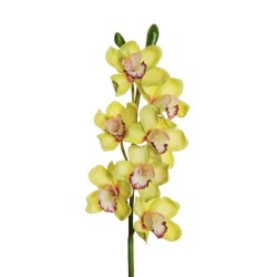 Lot de 6 - Tige artificielle d'orchidée cymbidium toucher réel X7, 77 cm - vert clair 