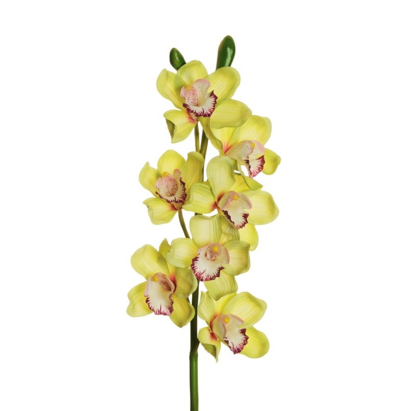Lot de 6 - Tige artificielle d'orchidée cymbidium toucher réel X7, 77 cm - vert clair 