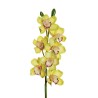 Lot de 6 - Tige artificielle d'orchidée cymbidium toucher réel X7, 77 cm - vert clair 