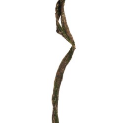 Lot de 24 - Liane artificielle double avec mousse, 160 cm - marron vert 