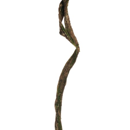 Lot de 24 - Liane artificielle double avec mousse, 160 cm - marron vert 
