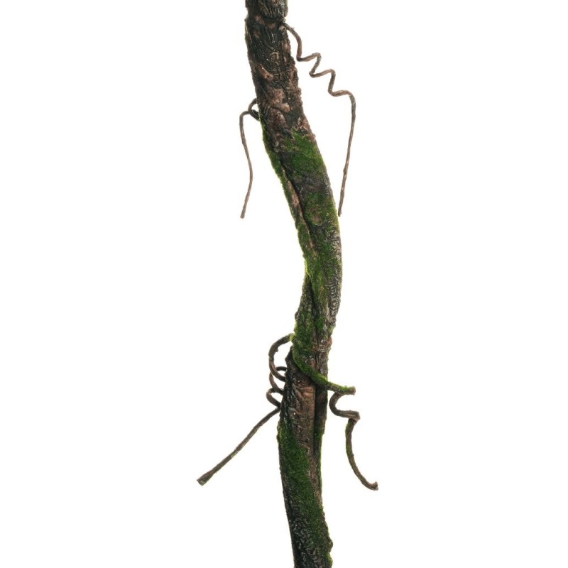 Lot de 20 - Liane artificielle avec branchages et mousse, 180 cm - marron vert 
